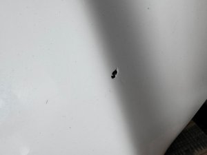 Капот MERCEDES BENZ C-CLASS 204248 2012
